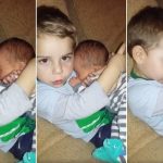 2F92BE5100000578-0-image-a-18_1450812936132