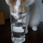 drinking-water