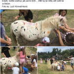 Snímka obrazovky 2018-07-21 o 9.58.48