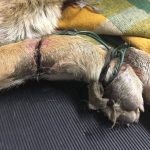 39821903_1725890240869676_1583200794428047360_o