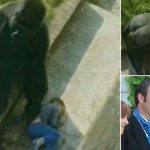 3061c66900000578-0-image-a-8_1453303960127