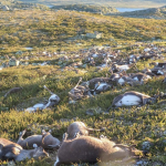 Snímka obrazovky 2018-09-02 o 19.09.20