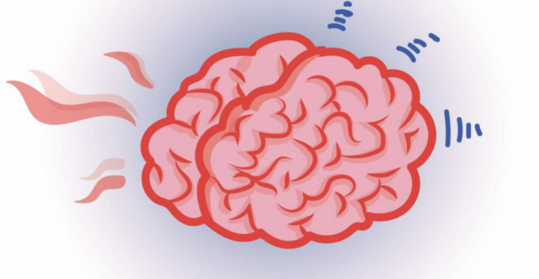 7 zvláštnych faktov o mozgu, o ktorých vám nikto nepovedal. Toto je dôvod, prečo je tak tajomný