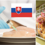 Snímka obrazovky 2018-10-16 o 16.21.19