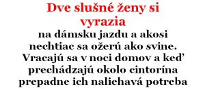 Vtip Dňa: Dve slušné ženy si vyrazili večer von a takto to dopadlo