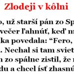 14054522_1061783683937042_7849552487919896292_o