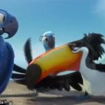 4fba571100000578-6134073-the_spix_s_macaw_is_a_bright_blue_species_of_brazilian_parrot_th-m-27_1536147233718