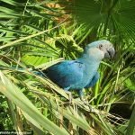 4fba679d00000578-6134073-image-a-14_1536146874470