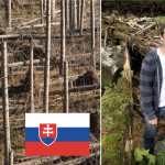 Snímka obrazovky 2018-11-04 o 13.12.50