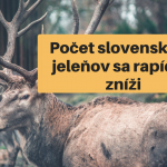 Snímka obrazovky 2018-11-26 o 8.35.03