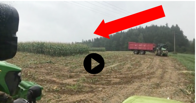 Českí farmári sekali kukuricu, keď sa nečakane stalo TOTO! To musíte vidieť!