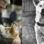 Snímka obrazovky 2018-12-07 o 21.06.24