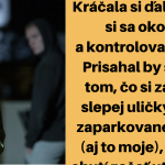 Snímka obrazovky 2018-12-09 o 9.11.30