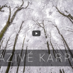 Snímka obrazovky 2018-12-20 o 10.45.14