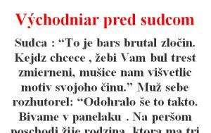 Vtip Dňa: Východniar pred sudcom