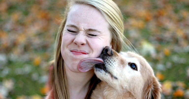 Ak vám pes olízal ruku alebo nohu, je to špeciálne znamenie! Takto pochopíte, čo tým myslel a ešte viac