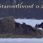 Snímka obrazovky 2019-01-14 o 8.57.42