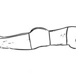 elbow-plank-e1503408485954