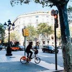 pexels-photo-1005476