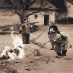 Disznóölés-Perzselés