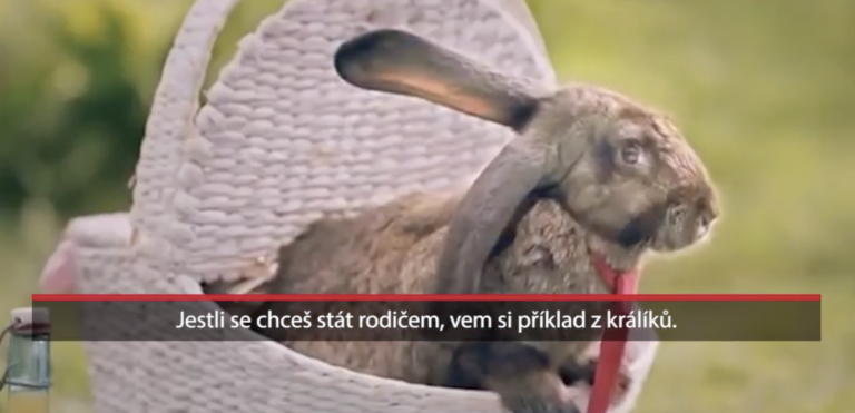 Vláda v Poľsku prosí ľudí, aby sa množili ako králiky. Urobili k tomu aj vtipné video
