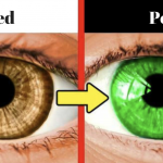 Snímka obrazovky 2019-02-07 o 19.19.58