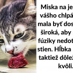 Snímka obrazovky 2019-03-05 o 17.56.31