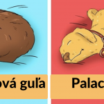 Snímka obrazovky 2019-03-18 o 9.20.50