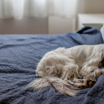 45b837d85cb94f66a54bd343a4f4f37f