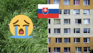 Opitý Slovák vyhodil mačku z 8. poschodia, ktorá neprežila. Hrozí mu väzenie