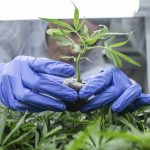 13a2e2dce97b9718ee888a9679f897ee