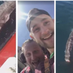 Snímka obrazovky 2019-06-10 o 10.07.59