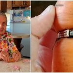 5d3359f5166bd829eba80f6c_1