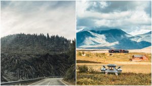 Poriadny krok vpred: Nórsko bude prvou krajinou, kde bude odlesňovanie úplne zakázané. Kedy sa pridá aj Slovensko?