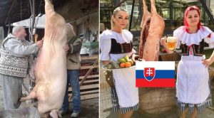 Za domácu zabíjačku môžete mať pokutu až 1 000€. Pozrite si návod ako na to, aby ste sa jej vyhli.