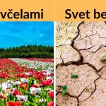 Snímka obrazovky 2019-08-13 o 8.12.53