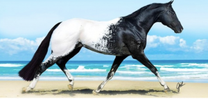 15 zvierat, ktoré sú tak vzácne až je ťažké si predstaviť, že vôbec existujú!