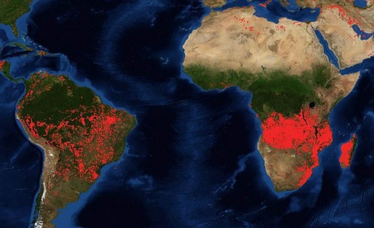 Horí už aj Afrika: požiare dosahujú rozmery niekoľkých tisícok kilometrov