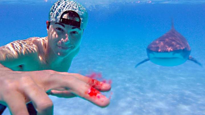 Mladík testuje, či dokážu žraloky skutočne zacítiť kvapku krvi aj z veľkej vzdialenosti