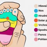 Hlava_Zuby