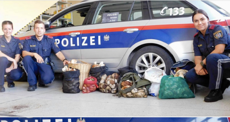 Taliani chceli z lesov ukradnúť 60 kilogramov húb. Polícia im ich zhabala a darovala dôchodcom