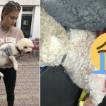 Snímka obrazovky 2019-09-16 o 15.35.10