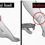 Snímka obrazovky 2019-09-22 o 21.15.29