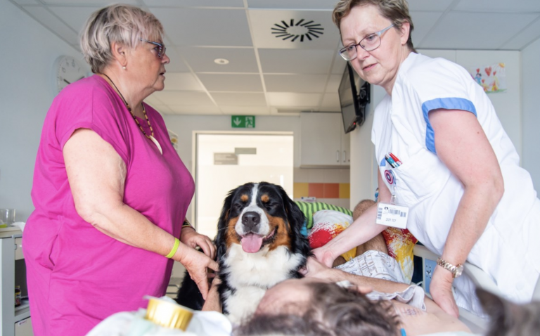 V česku pomáhajú pacientom v kóme zvieratá. Unikátny spôsob liečby sa im osvedčil