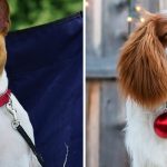 Snímka obrazovky 2019-10-07 o 19.02.05