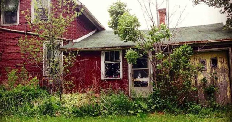 Fotografka našla v lese opustený dom. Keď vošla dnu, neverila vlastným očiam