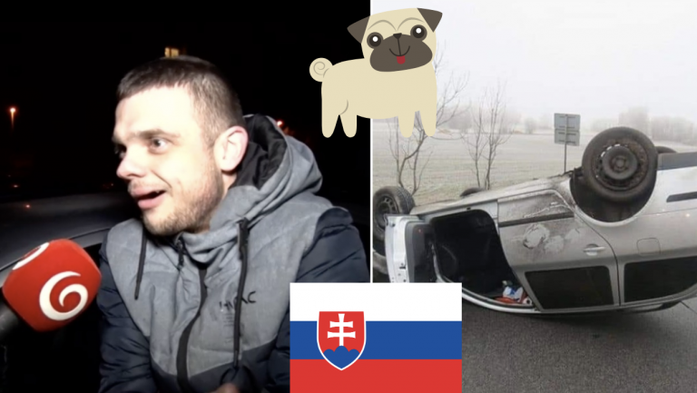 Muž z Michaloviec narazil s autom, lebo mu mal jeho pes povedať jednu vec