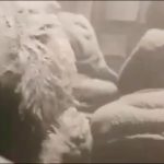 information_items_7761