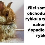 Snímka obrazovky 2020-03-17 o 20.34.27