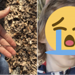 Snímka obrazovky 2020-03-29 o 9.30.40